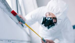 Best Residential Pest Control  in West Ack, NY